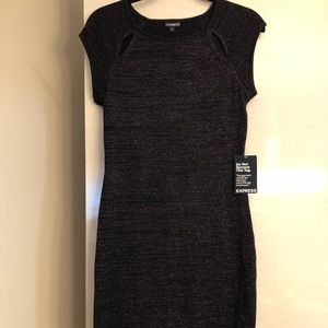 Metallic, stylish Express dress!
